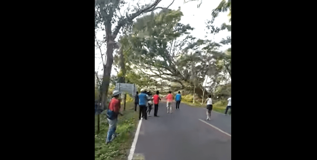 Botan un árbol para bloquear ingreso a Malacatán, San Marcos