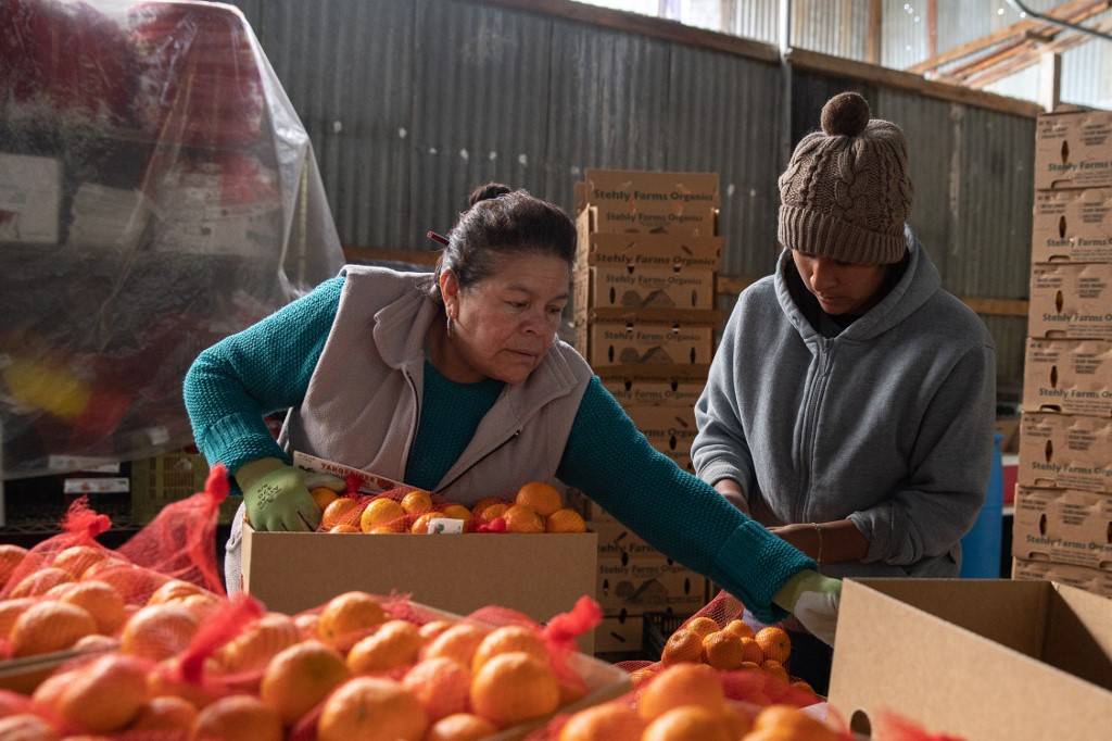 Proyectan recuperación de la economía para 2021