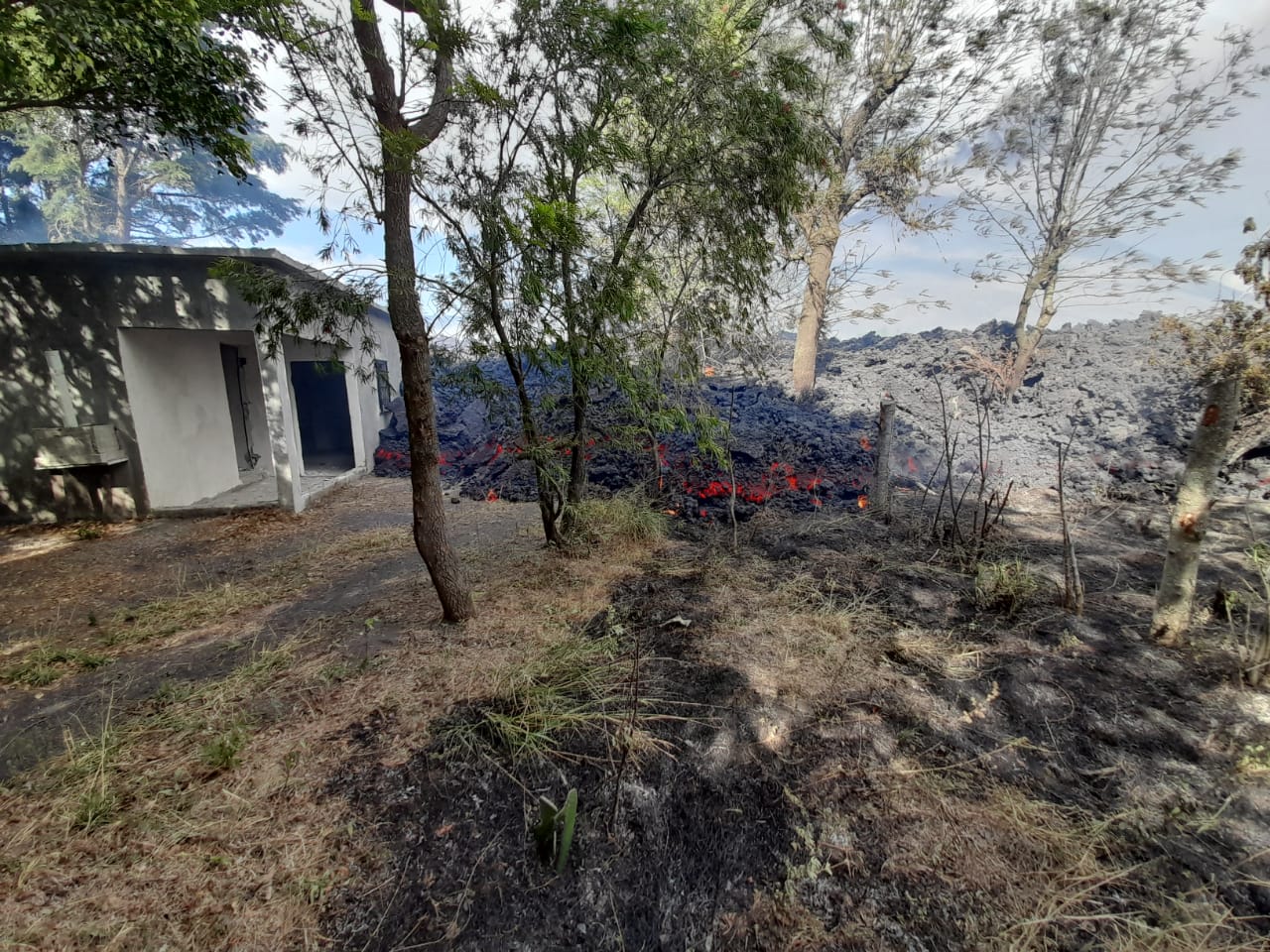 EN IMÁGENES. Flujo de lava del volcán Pacaya alcanza vivienda