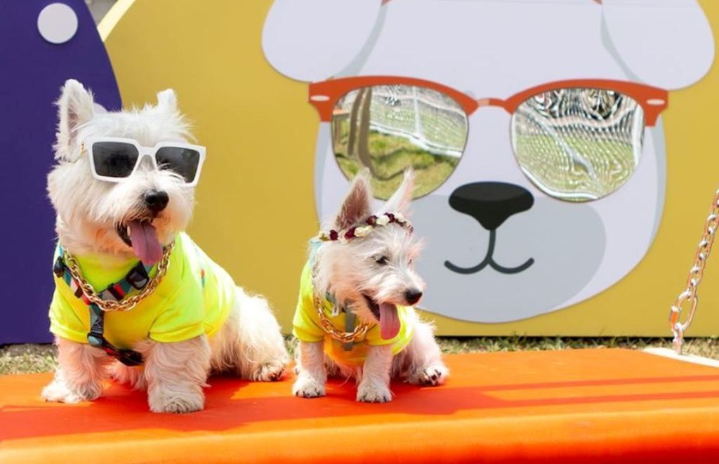 Pet Park, un divertido lugar al aire libre para pasear a tu mascota