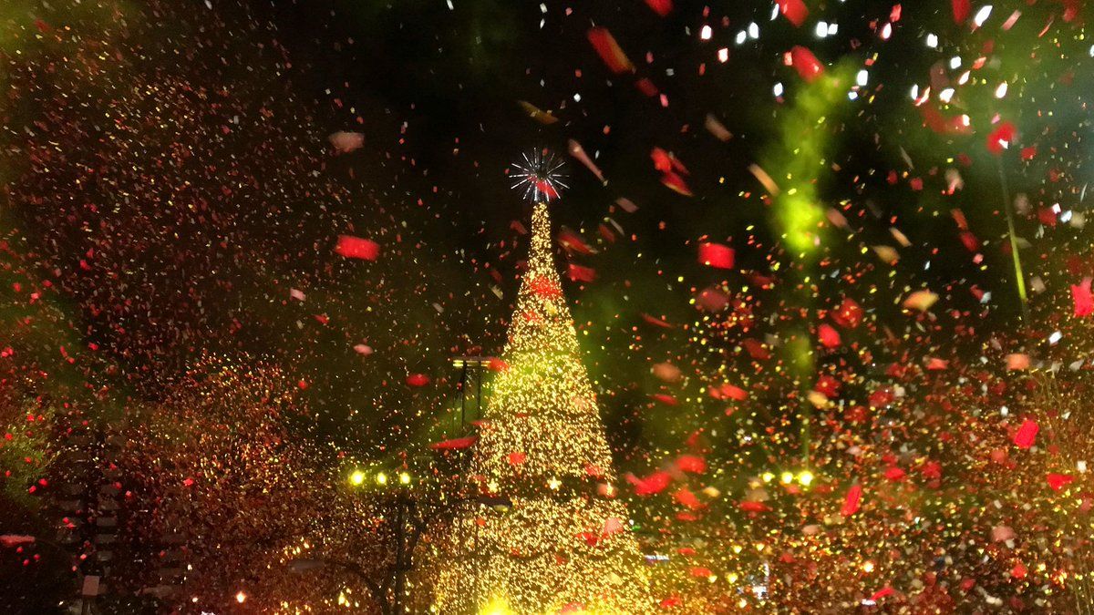 Inauguración Árbol Gallo 13 de noviembre 2021