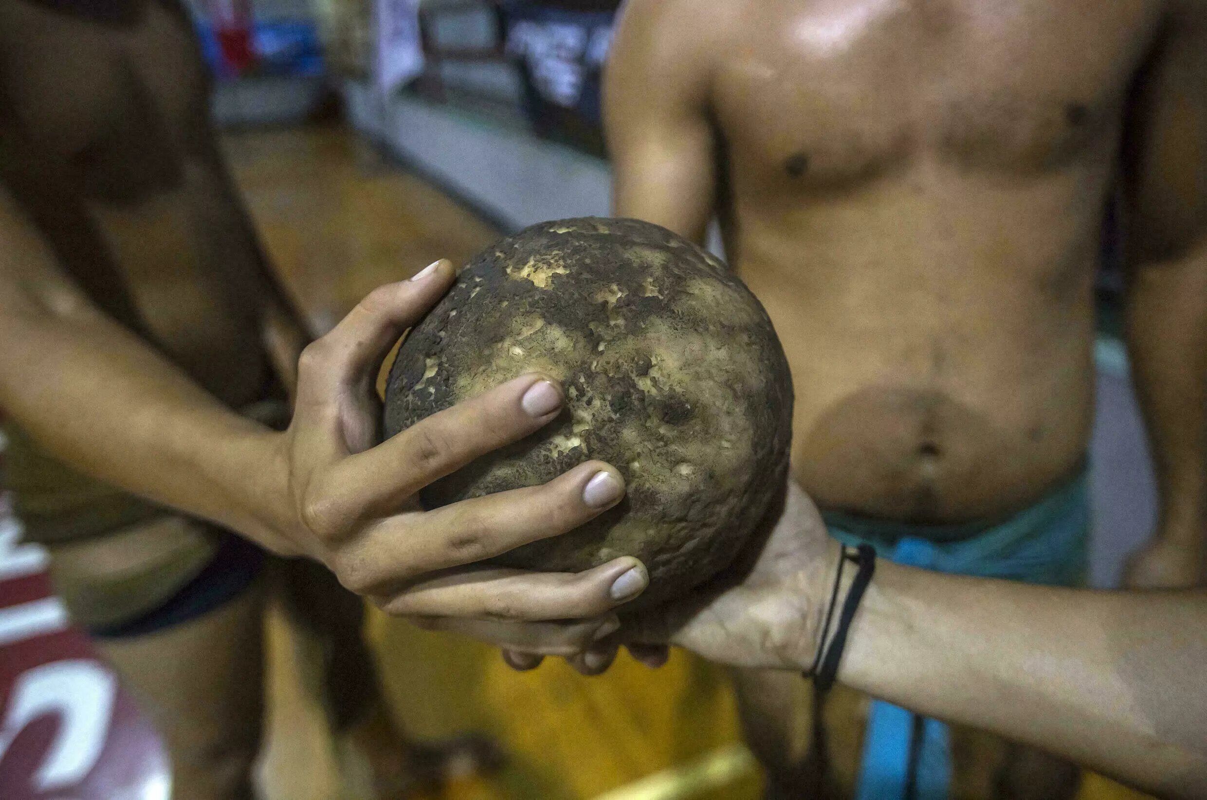 Se disputó en México la IV Copa Mundial de Deportes Ancestrales de Pelota Maya