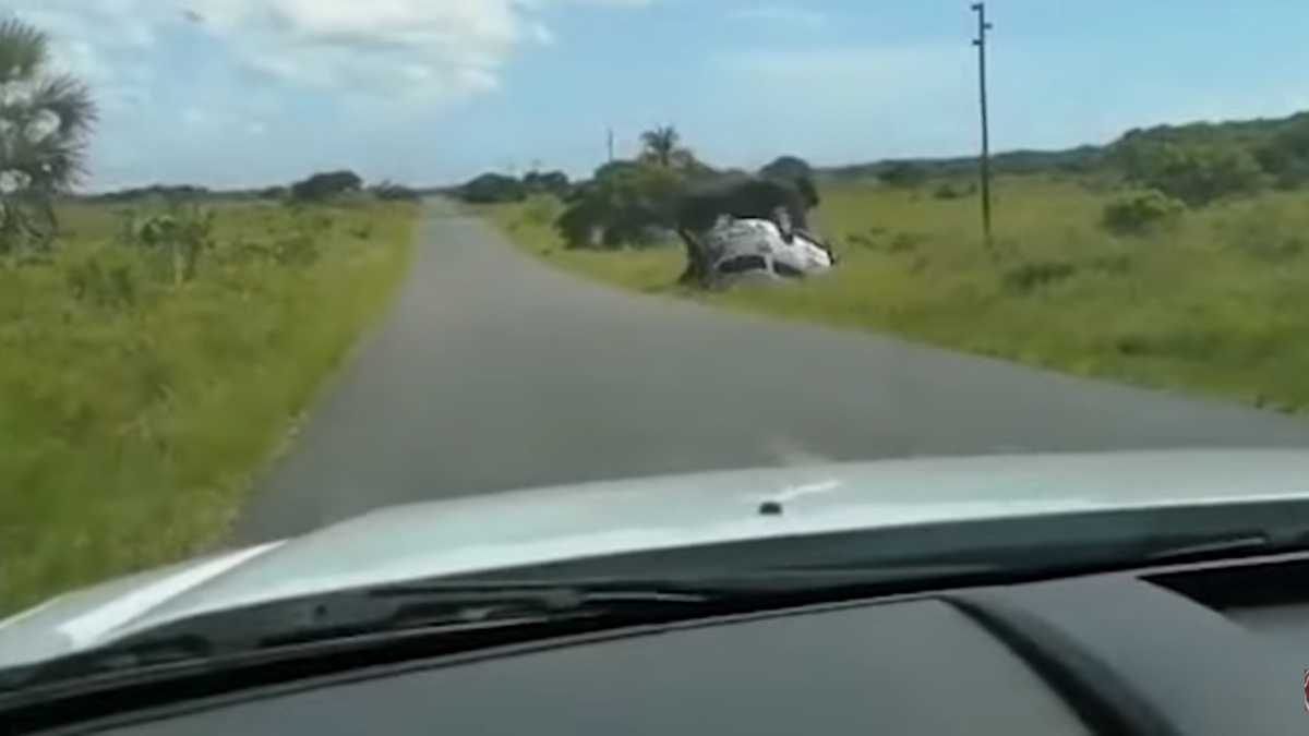 El terrorífico momento en el que un elefante vuelca un carro con una familia adentro