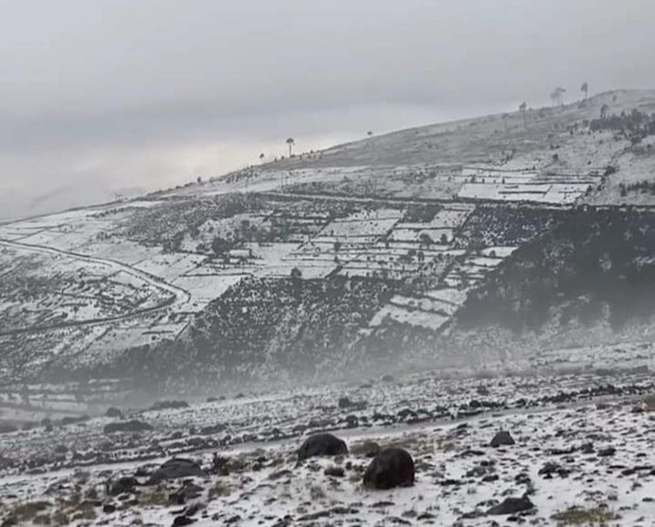 Altiplano Marquense se pinta de blanco tras la caída de granizo