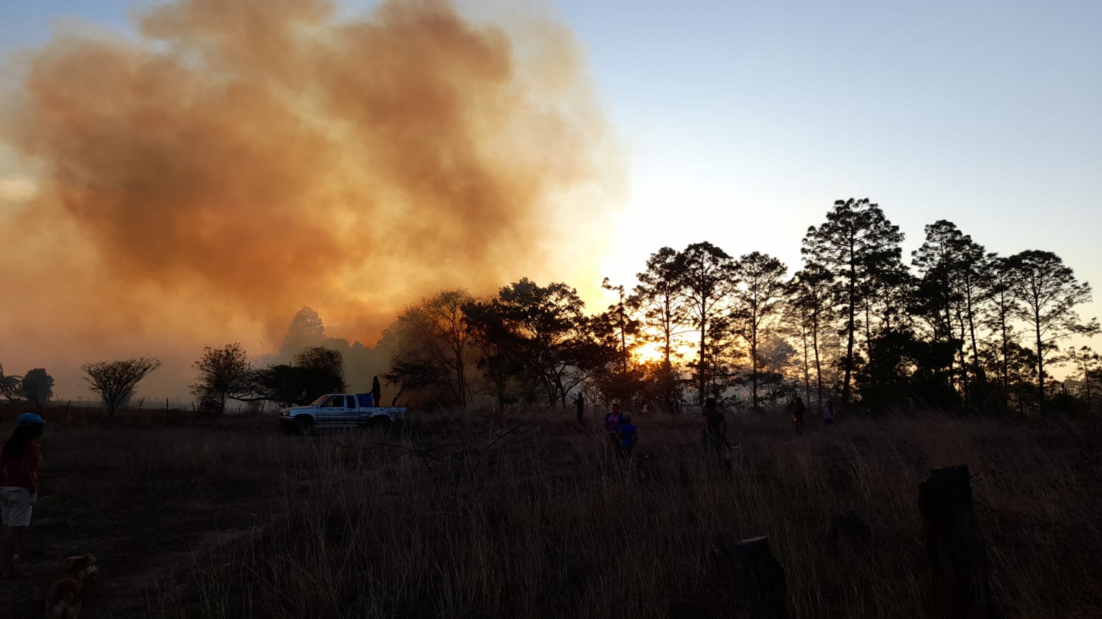 ¿Cuál es el impacto de los incendios forestales en Guatemala?