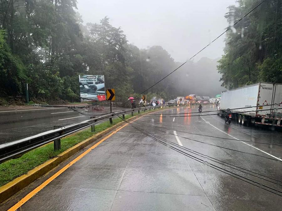 VIDEO. Paso vehicular bloqueado en San Lucas Sacatepéquez tras caída de árbol