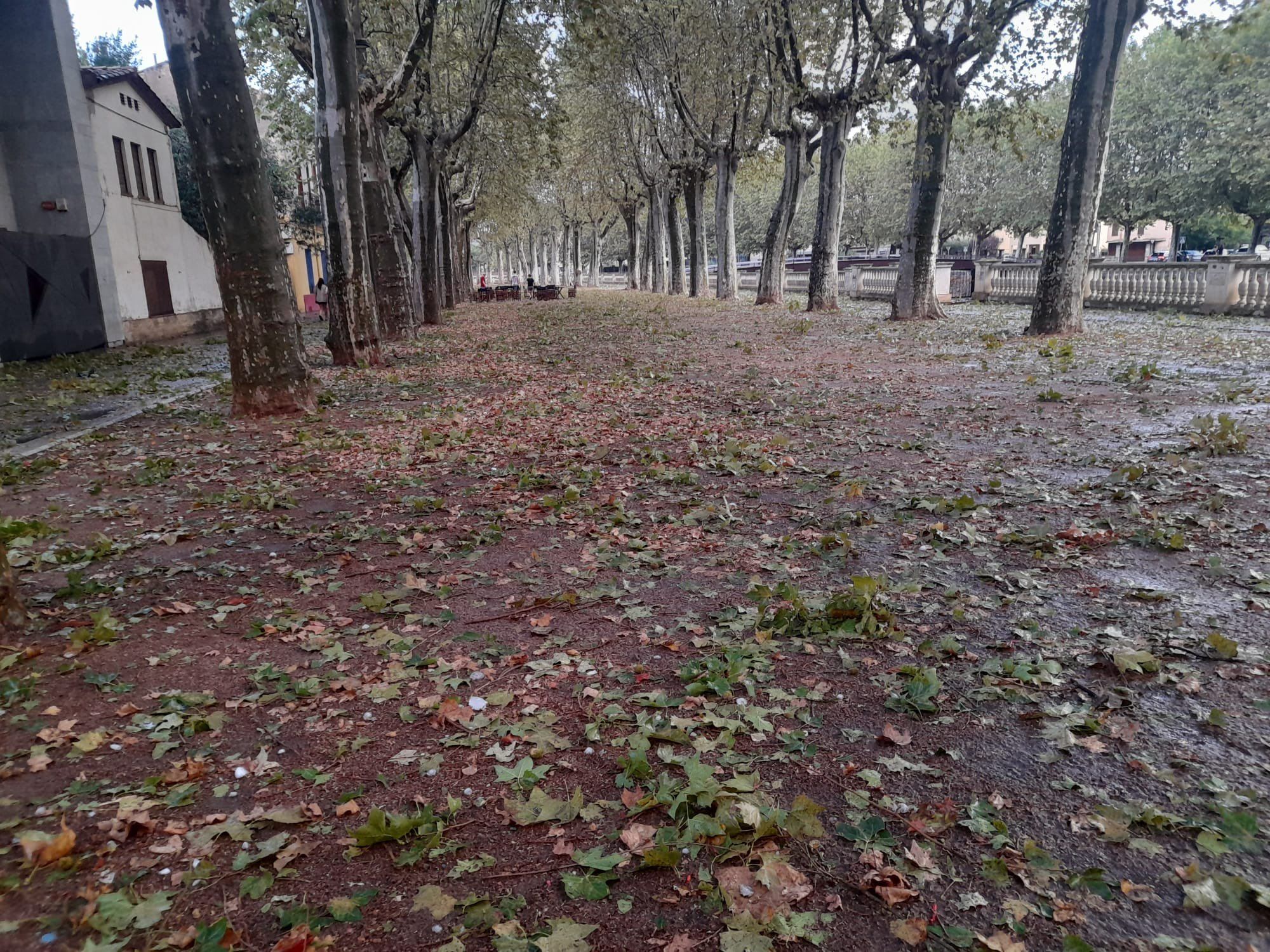 VIDEOS: Niña de 1 año muere tras ser golpeada por granizo durante tormenta