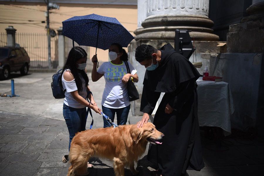 Bendicen mascotas en la solemnidad de San Francisco de Asís