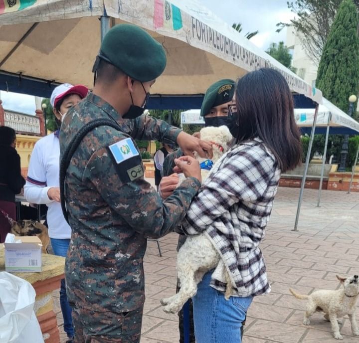 Jornada de vacunación contra la rabia en perros y gatos