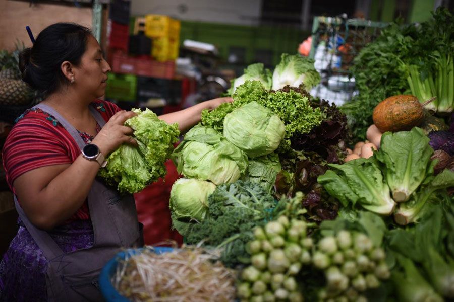 Vendedores de verduras «no esperan gran venta» de ingredientes para el fiambre