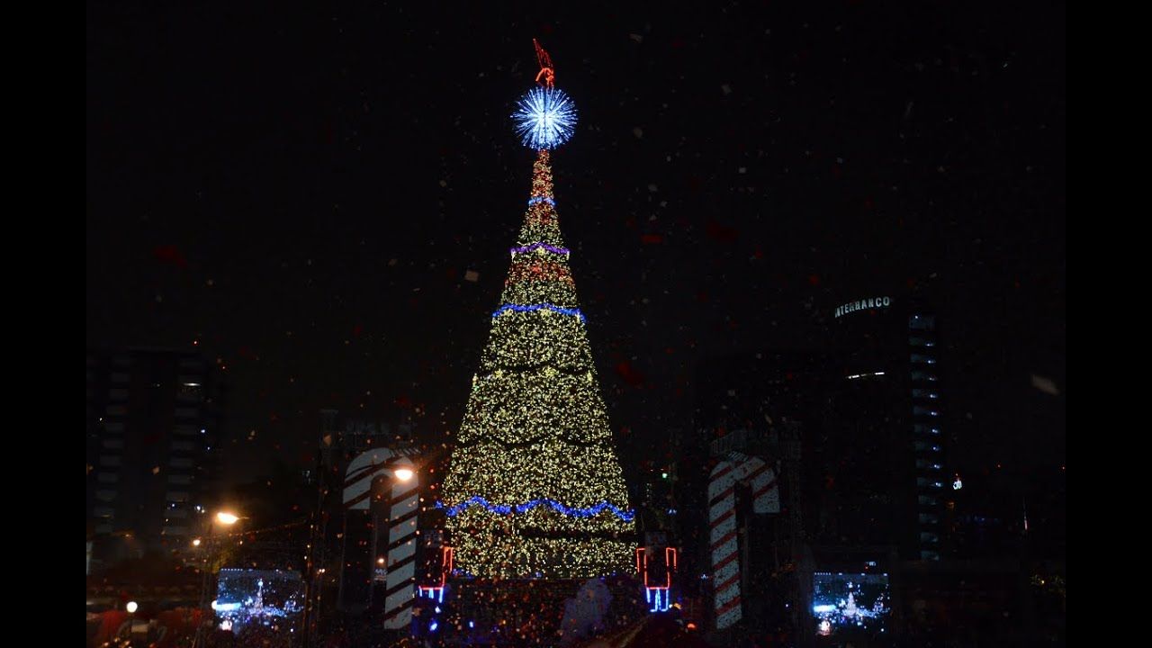 Festival Árbol Gallo iluminará las fiestas de fin de año de los guatemaltecos