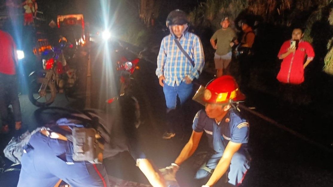 Motorista muere tras chocar con un árbol que cayó en la ruta