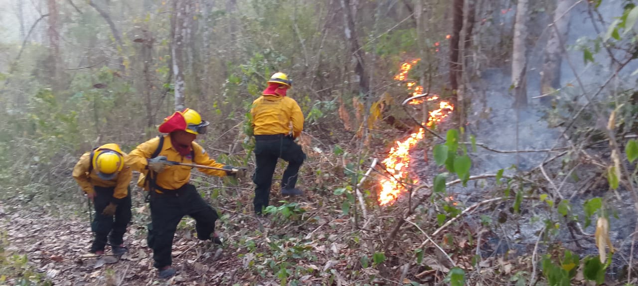 Petén registra 26 incendios forestales