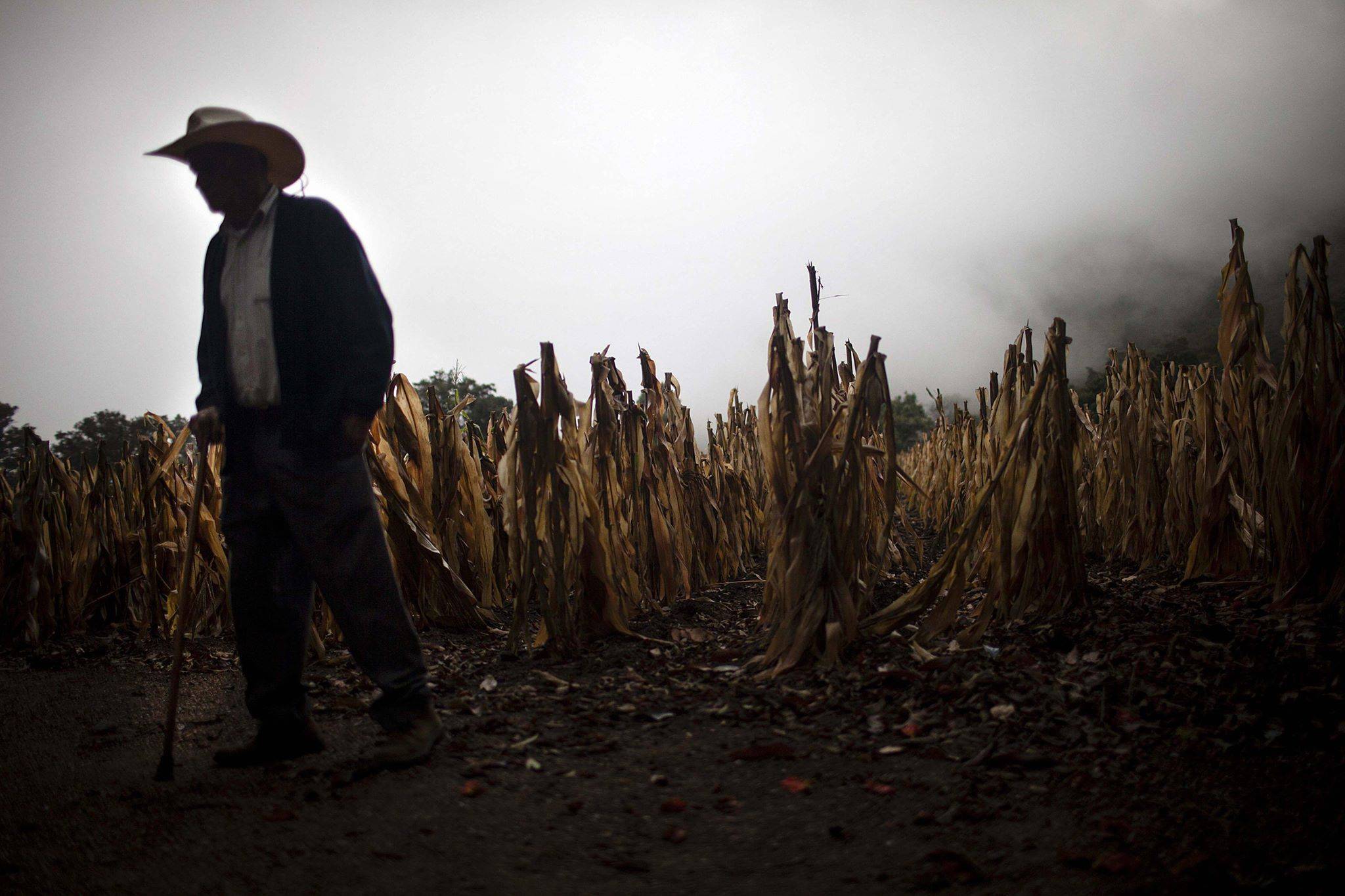 Inicia período de canícula en el país