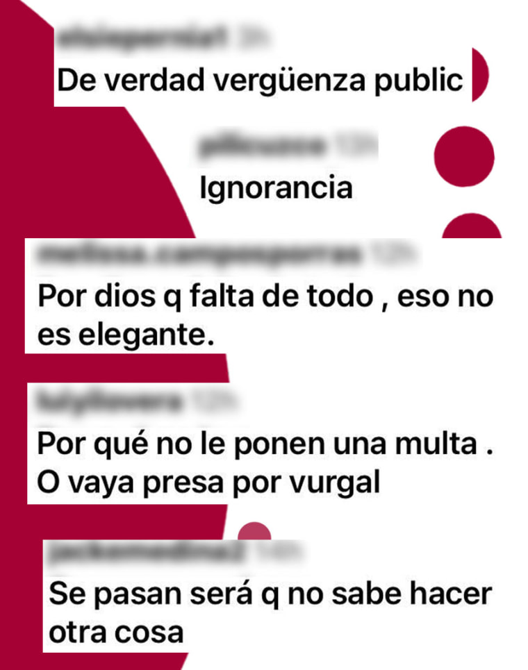 Los internautas le hicieron pagar caro a la cantante por su atrevimiento