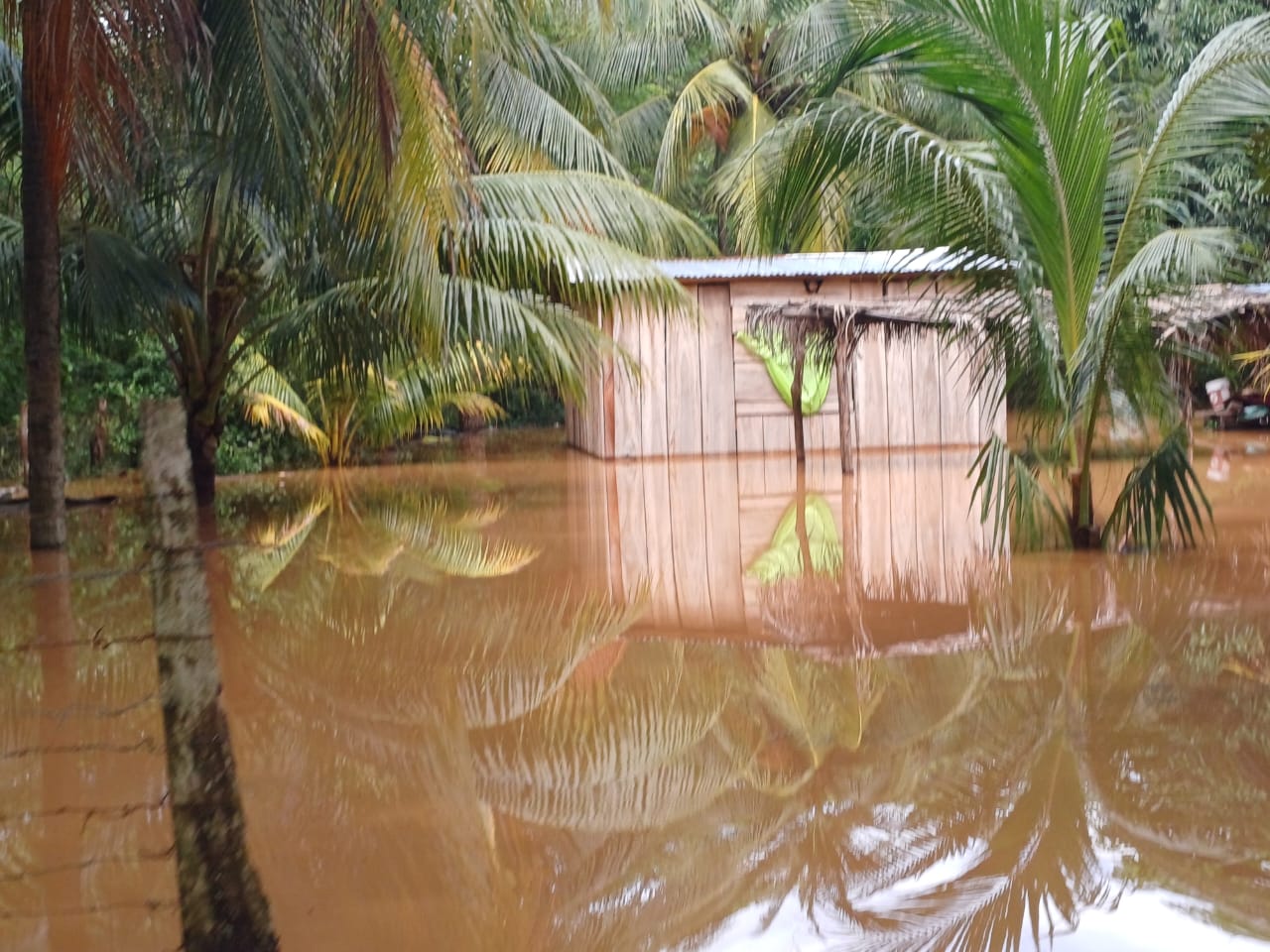 Centroamérica en alerta máxima por tormenta Pilar