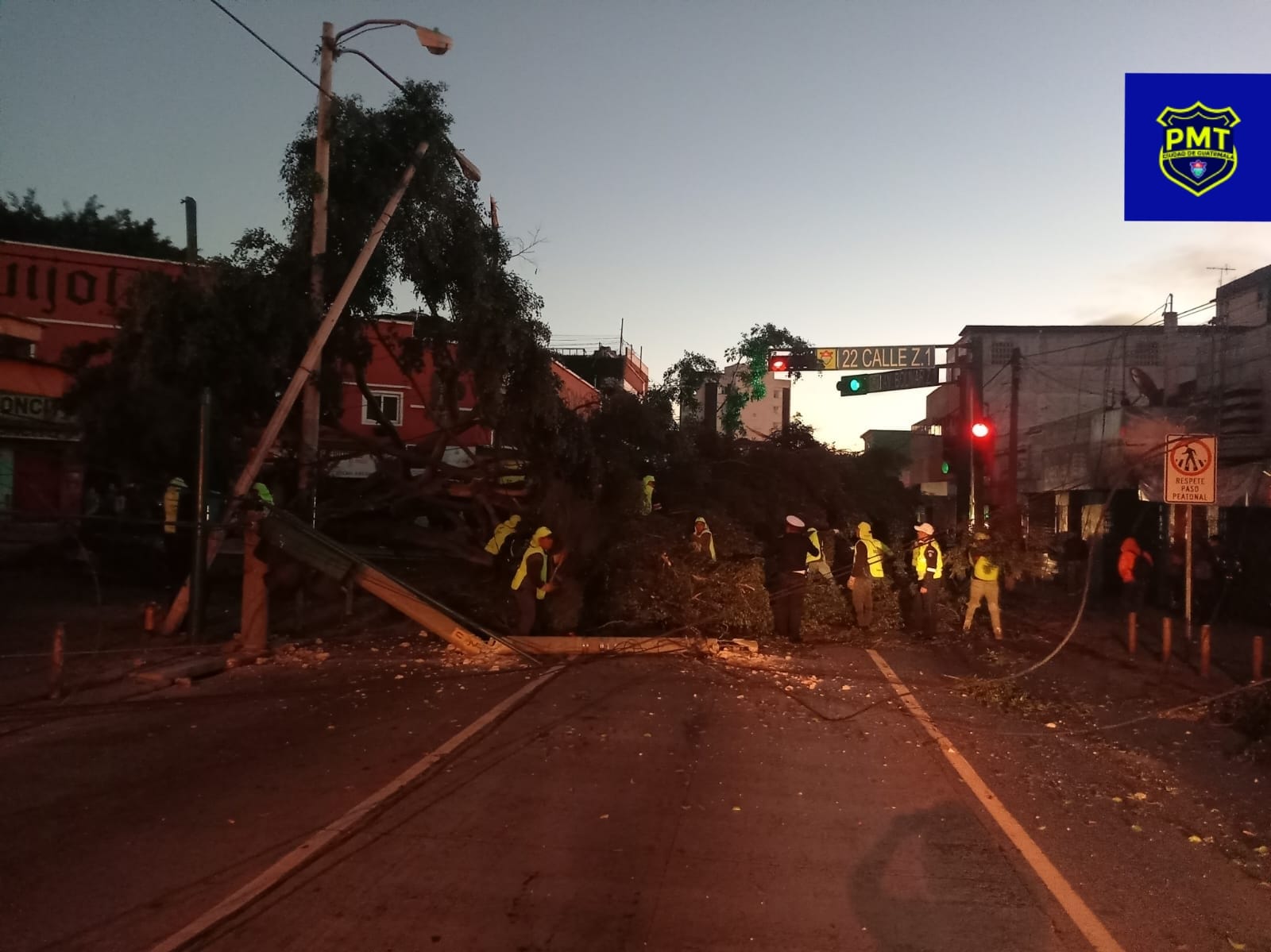 Árbol cae sobre vehículos en la avenida Bolívar, zona 1