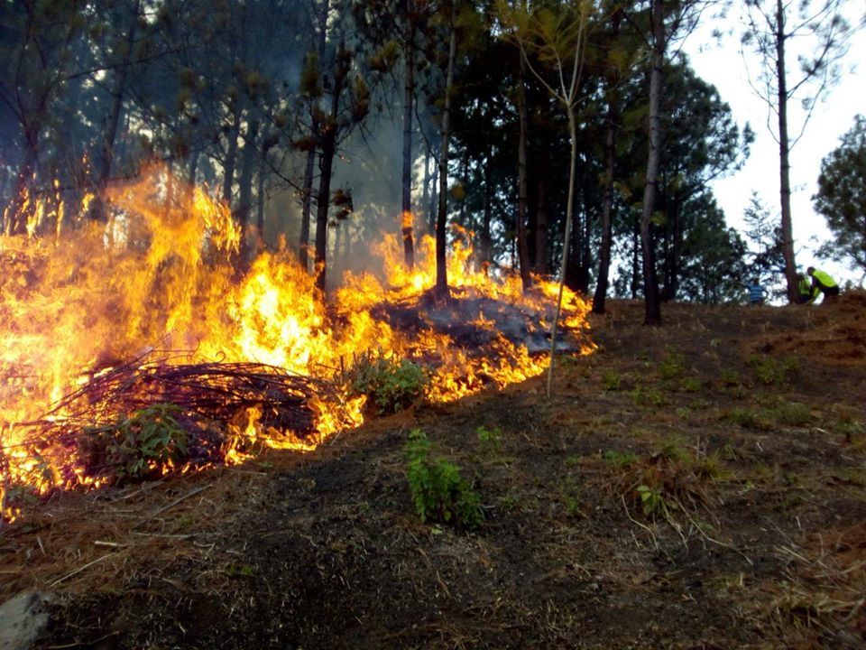 Incendios forestales con alta probabilidad en 10 departamentos