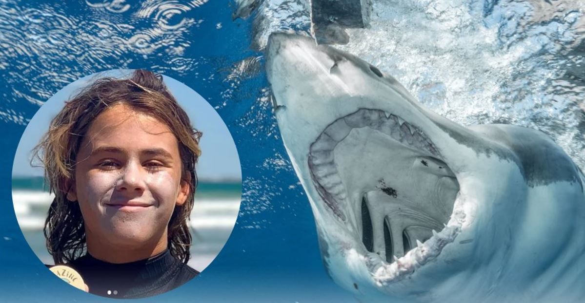 ¡Ataque mortal! Tiburón termina con la vida de joven surfista