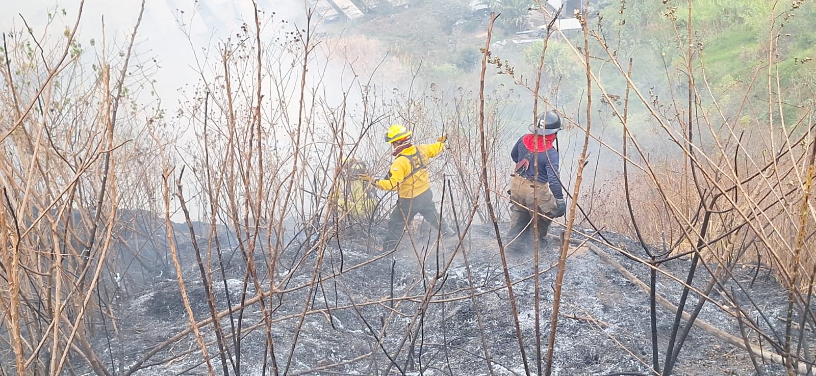 Guatemala registra 158 incendios, la mayoría forestales, en la temporada 2023-2024