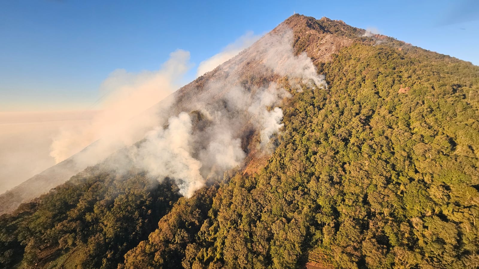 Guatemala gestiona apoyo internacional para atender incendios forestales