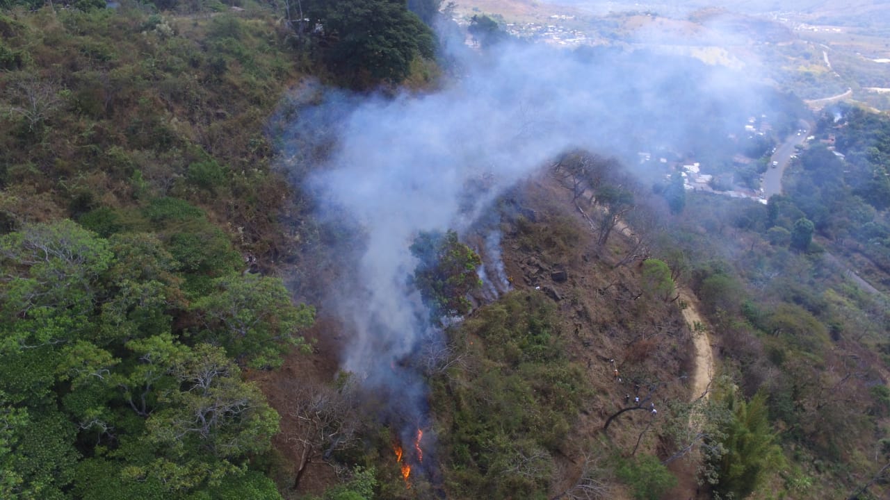 Incendios forestales y no forestales suman 221 en la actual temporada