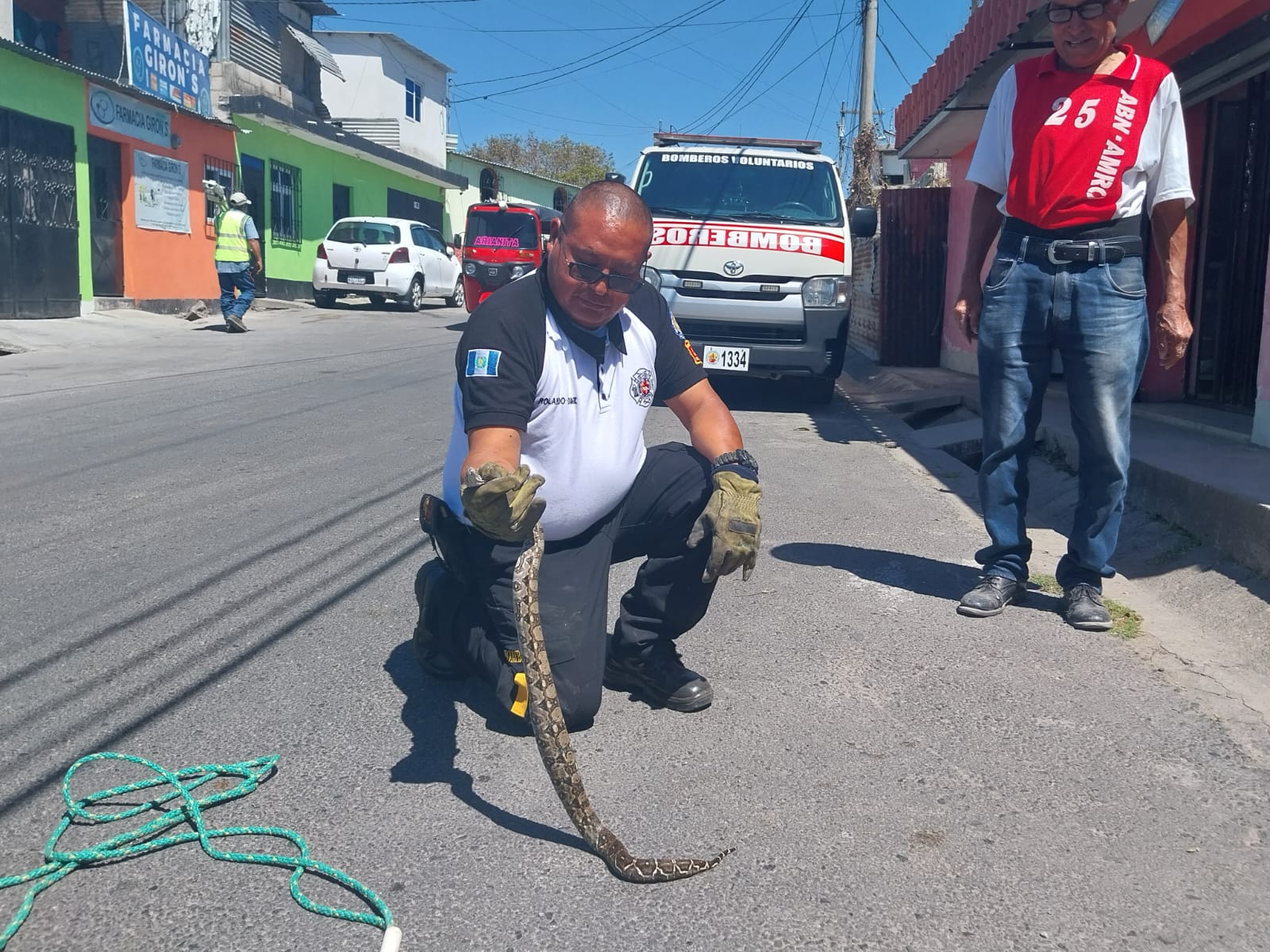 Localizan serpiente dentro de vivienda en la zona 25 de la capital