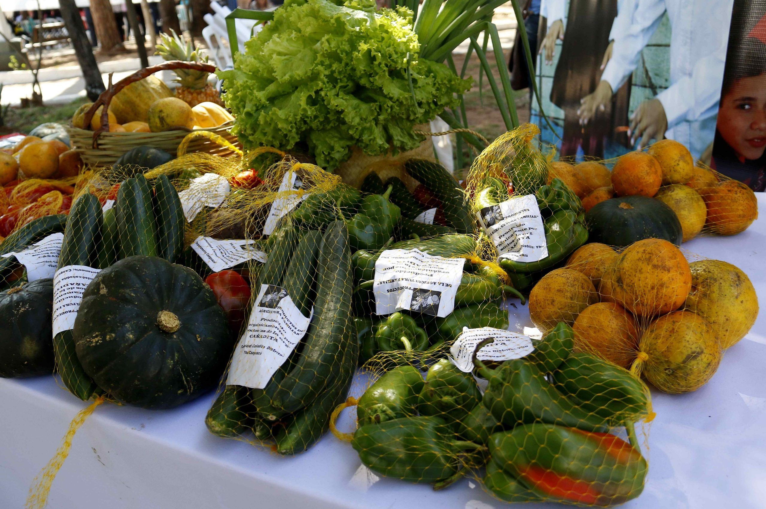 El IICA y EE.UU. apoyarán a Guatemala con proyecto para sistemas alimentarios resilientes