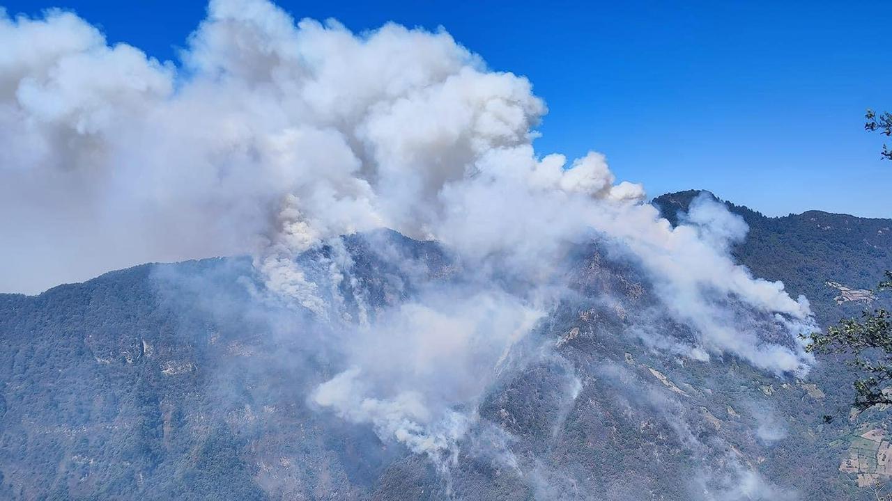 Incendio del Cerro Pecul consume de 15 a 20 hectáreas de pinabete