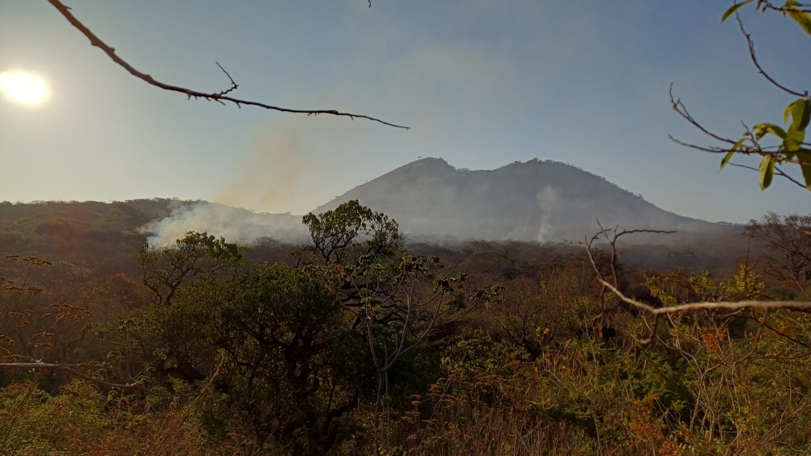 Autoridades en alerta máxima para evitar incendios forestales