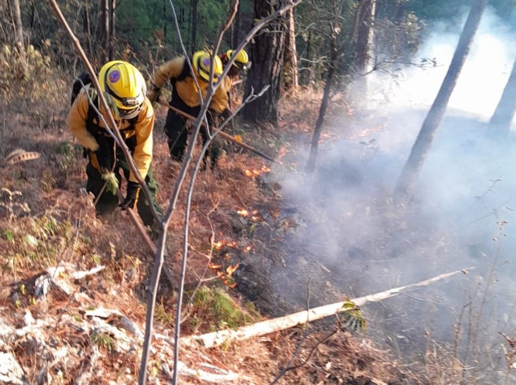 Los bosques de Guatemala están en riesgo por el incremento de incendios