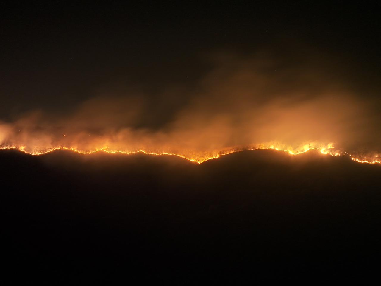 Los incendios consumen más de 6.400 hectáreas de bosque