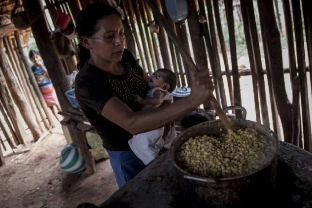 Más de 4 millones de personas en Triángulo Norte de Centroamérica requieren ayuda alimentaria