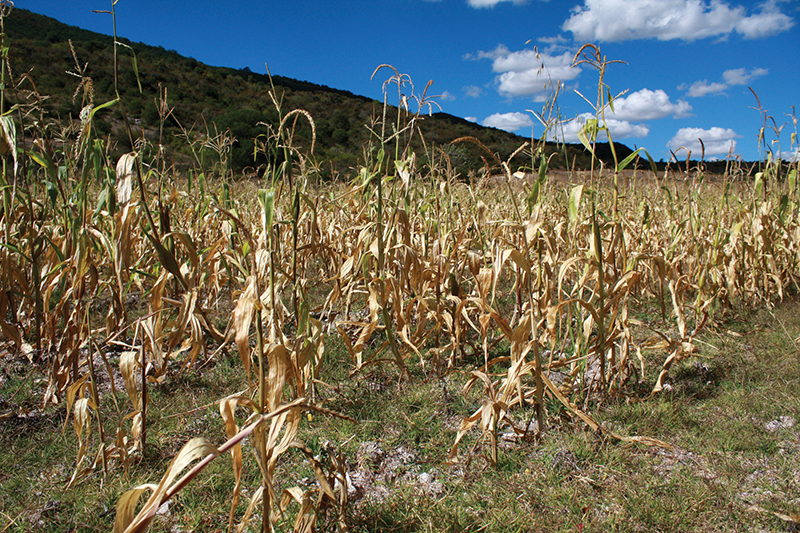 Colombia ingresa en la lista de países con inseguridad alimentaria aguda