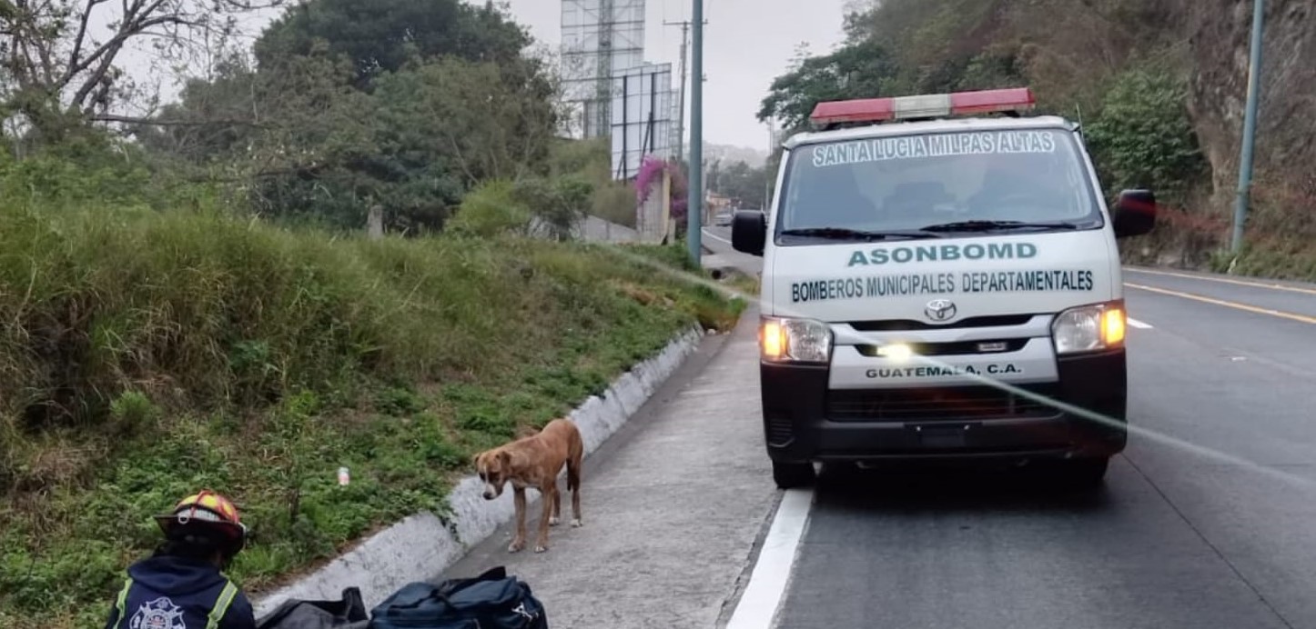 Localizan un cuerpo en la bajada de Las Cañas