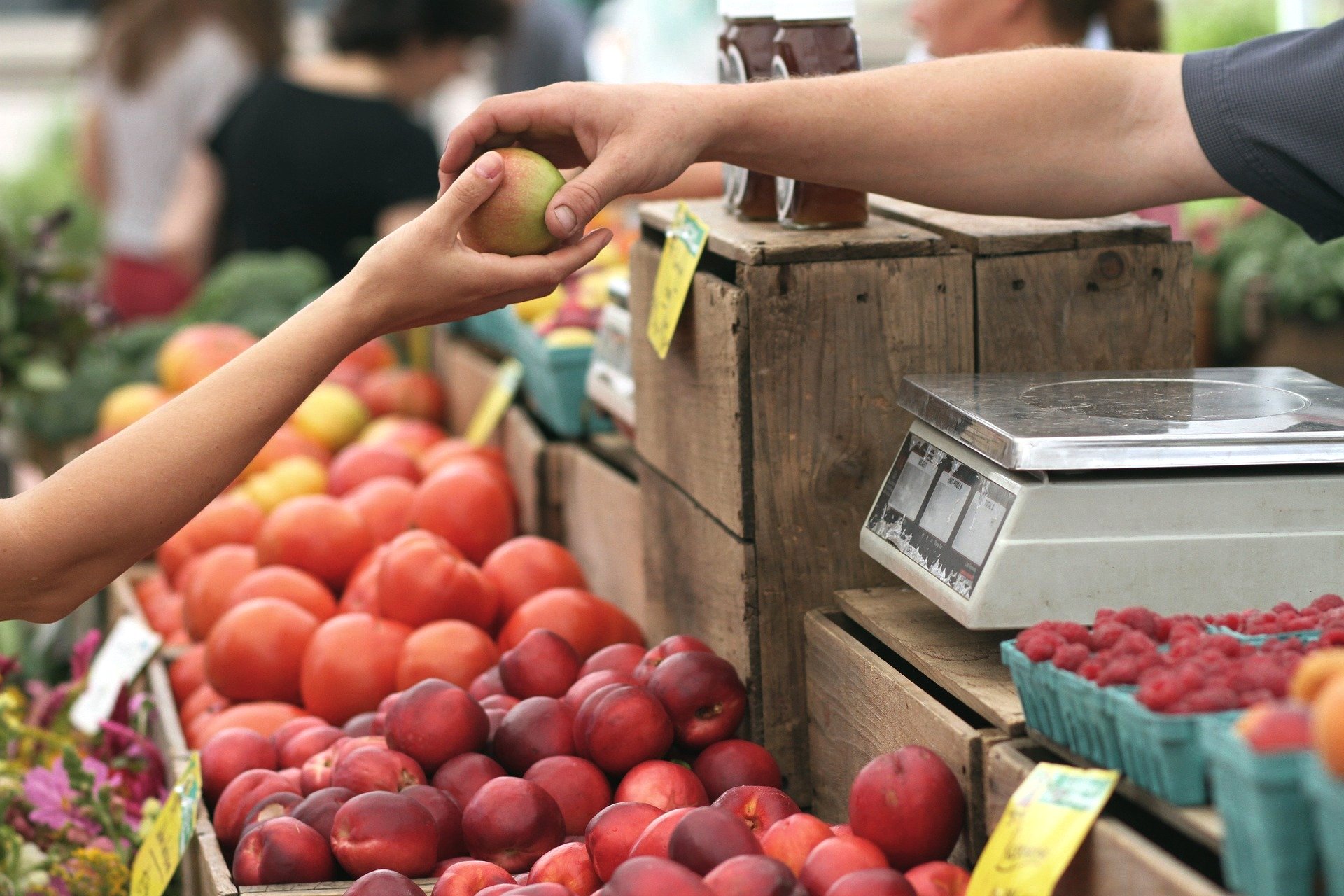 INE reporta incremento en precio de canasta básica durante abril