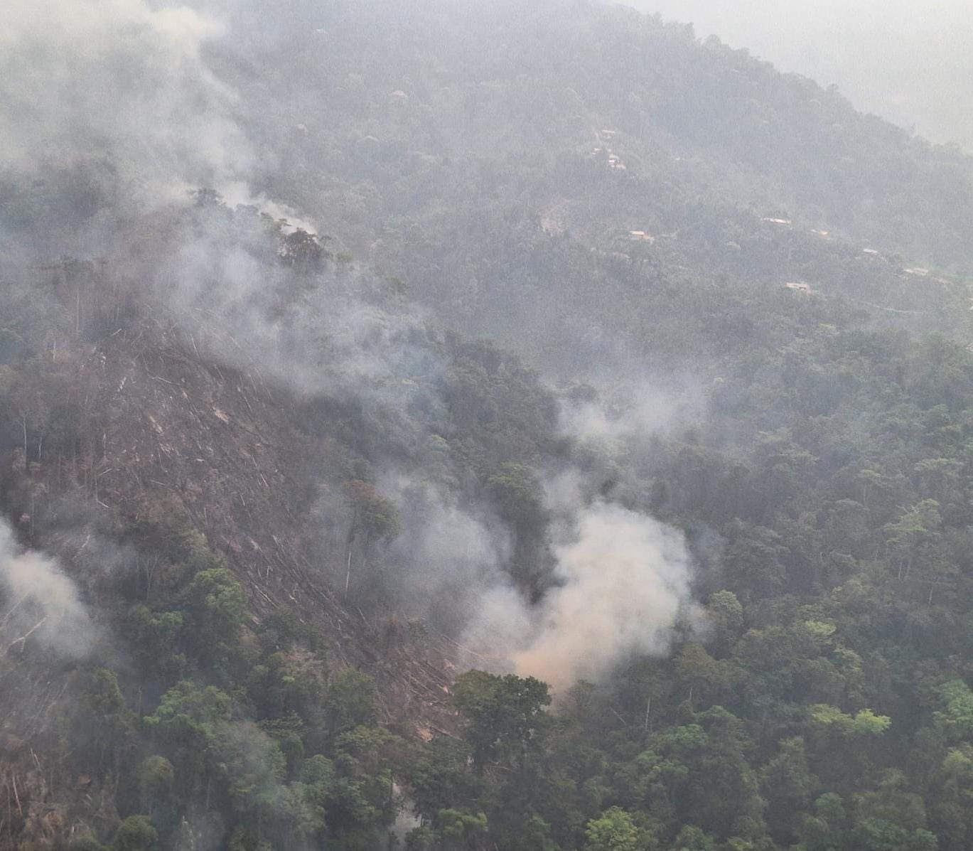 Investigan accidente que produjo incendio forestal en Izabal