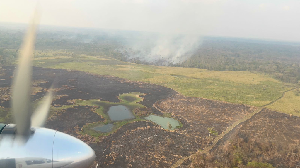 Asolada por incendios, «la cicatriz del fuego es enorme» en la selva maya de Guatemala